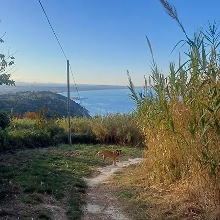 Pavone Bianco טבוליה